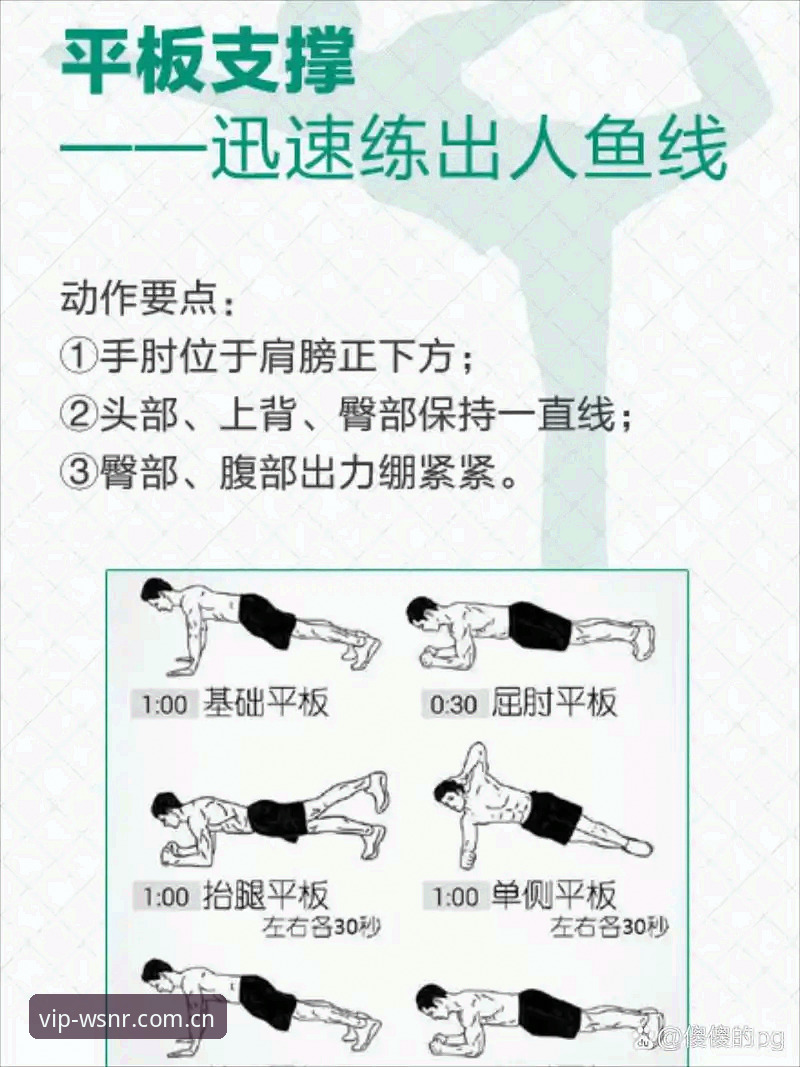 掌握威尼斯人8A2M必备的实用技巧，从新手到老手的完整指南